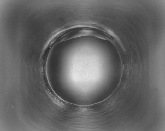 X0000079291360200611171040