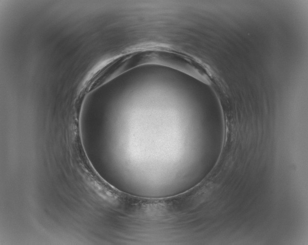 X0000079291363200611171040