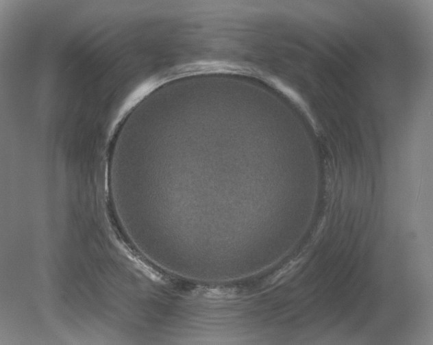 X0000079291365200611171040