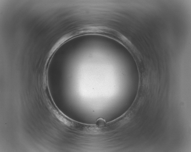X0000079291370200611171040