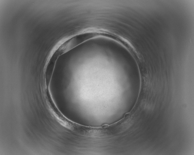 X0000079291371200611171040