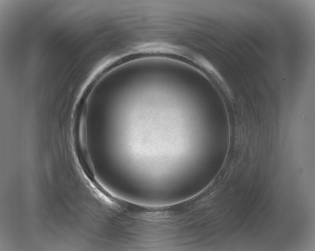 X0000079291376200611171040