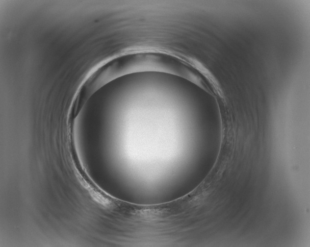 X0000079291380200611171040