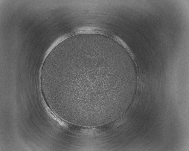 X0000079291386200611171040
