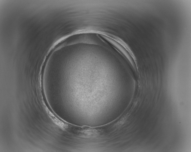 X0000079291388200611171040