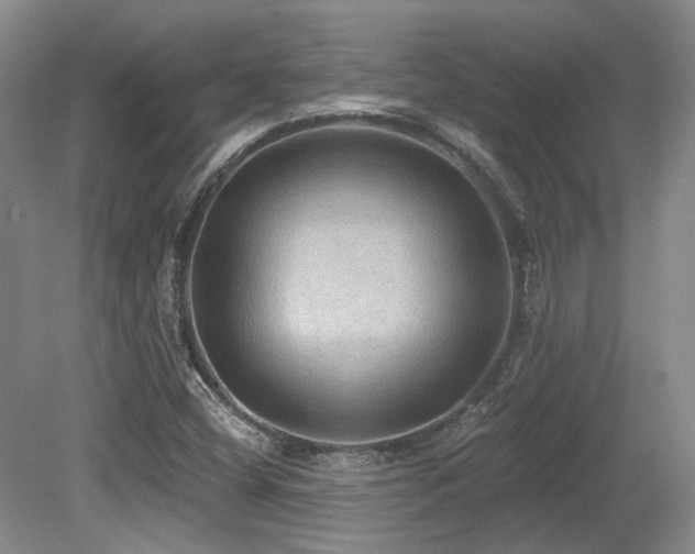 X0000079291404200611171039
