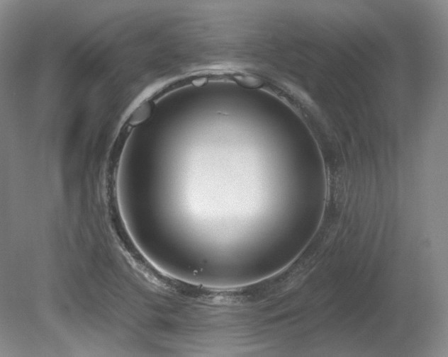 X0000079291412200611171039
