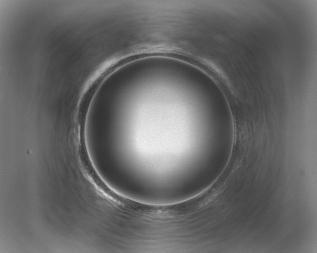 X0000079291414200611171039