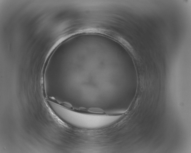 X0000079291428200611171040