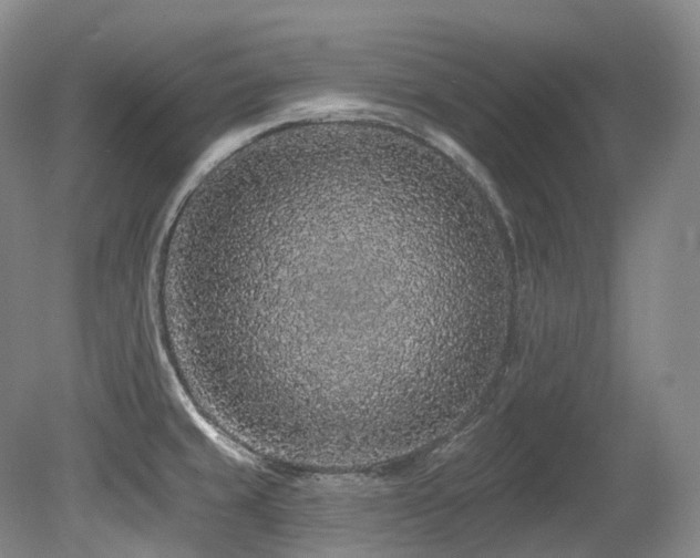 X0000079291429200611171040