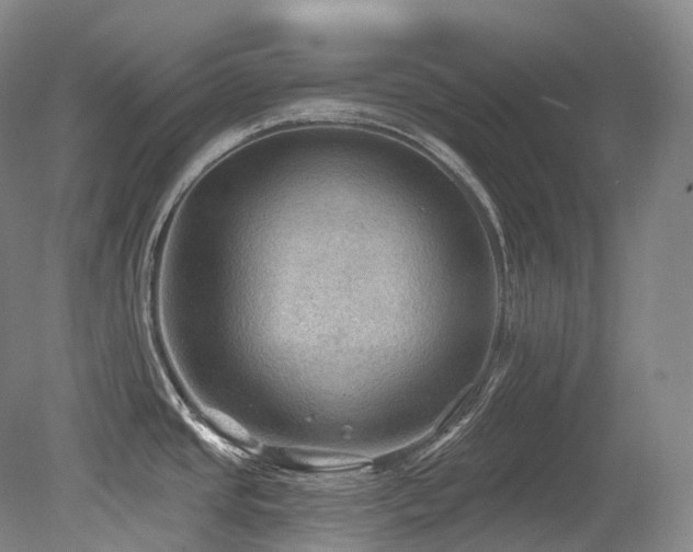 X0000079291437200611171040