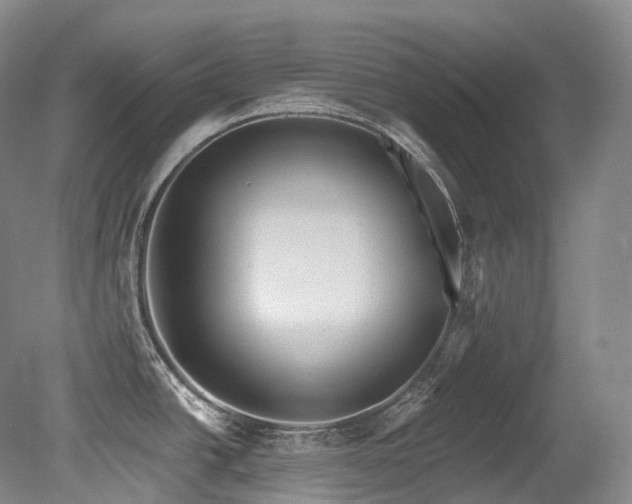 X0000079291438200611171040