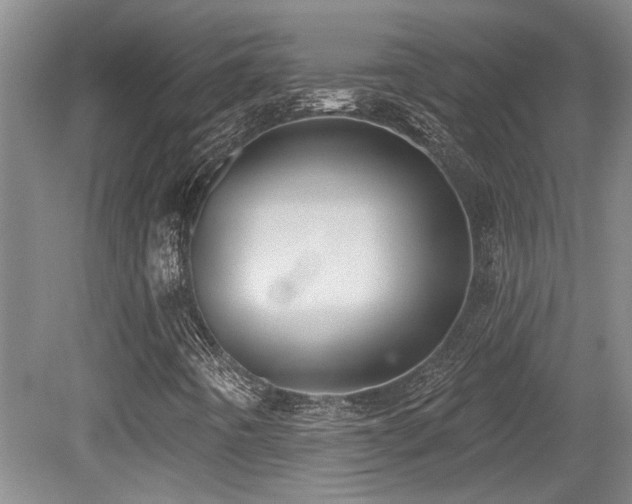 X0000079291442200611171039