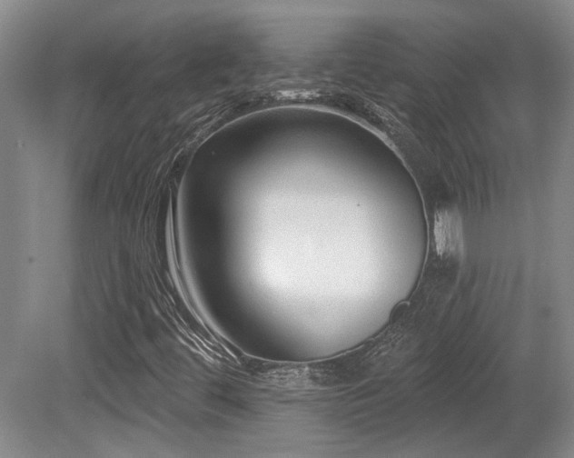 X0000079291444200611171039