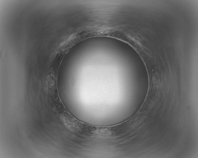 X0000079291447200611171039