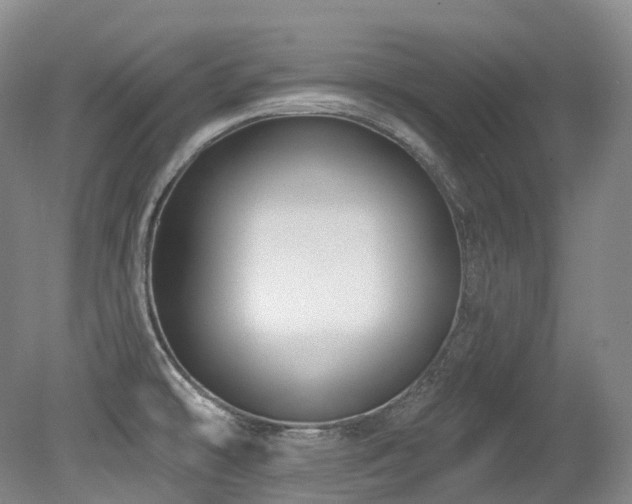 X0000079291478200611171038