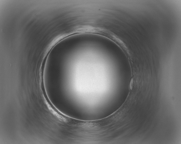 X0000079291479200611171038
