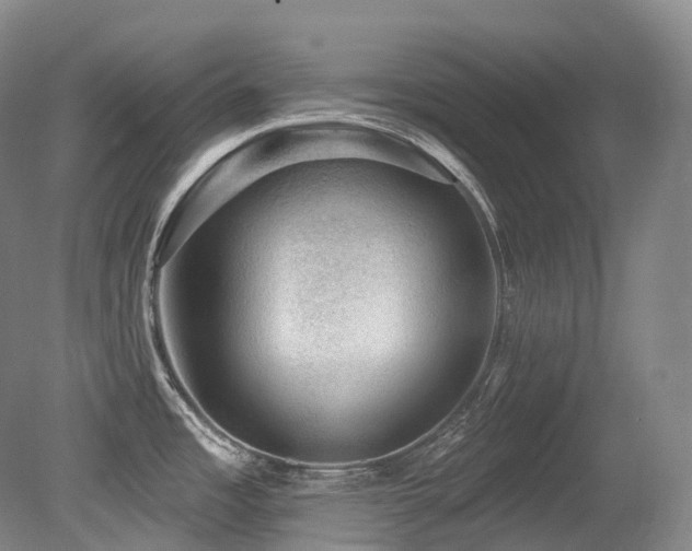 X0000079291485200611171038