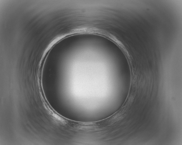 X0000079291486200611171038
