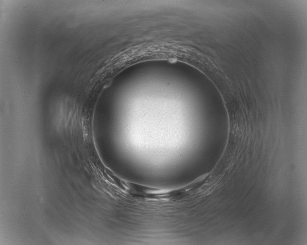 X0000079291490200611171037