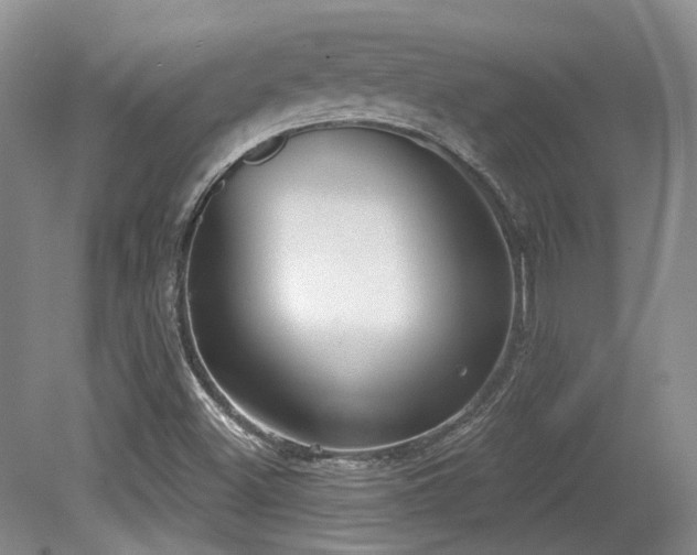 X0000079291500200611171037