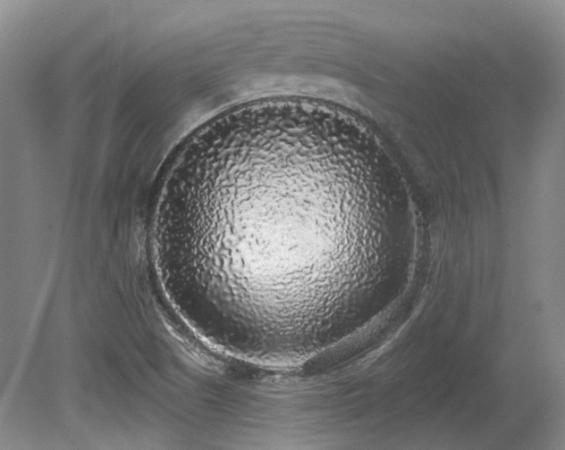 X0000079291505200611171038