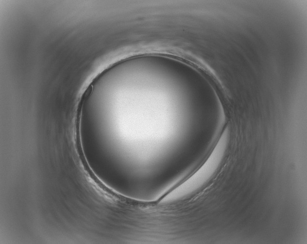 X0000079291512200611171038