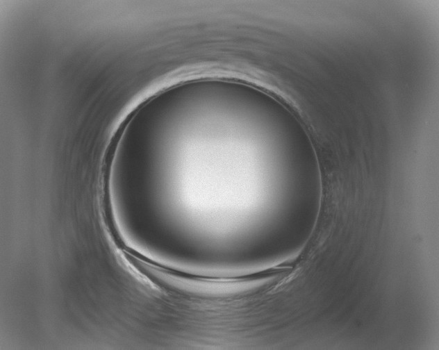 X0000079291518200611171038