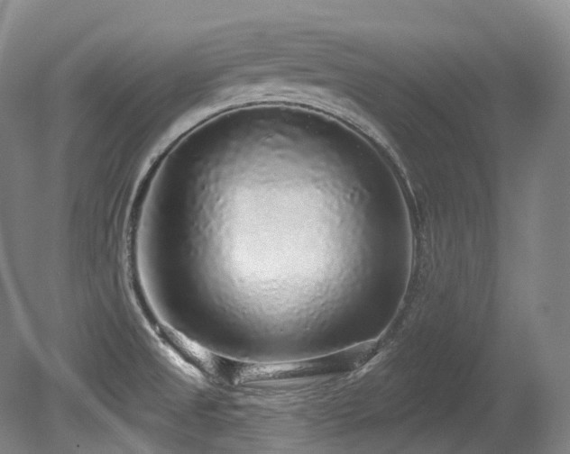 X0000079291525200611171038