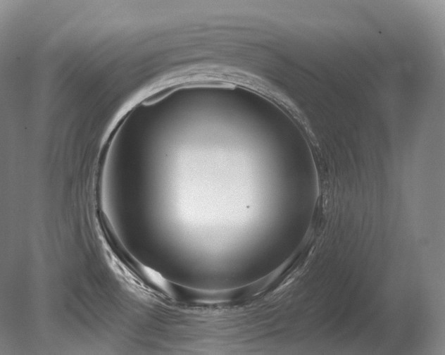 X0000079291530200611171038