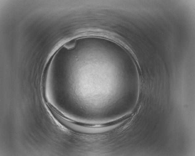 X0000079291533200611171038
