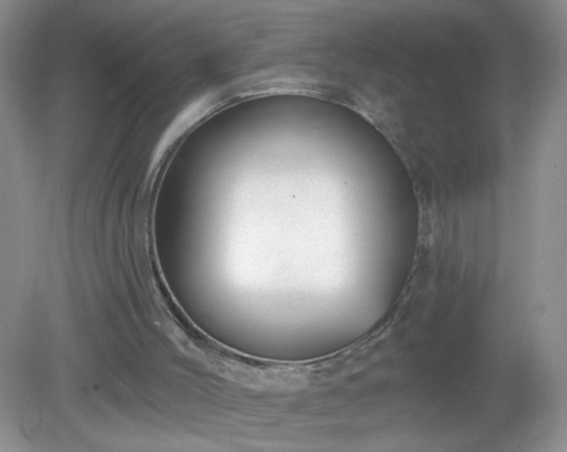 X0000079290004200611251659