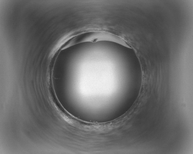 X0000079290005200611251659