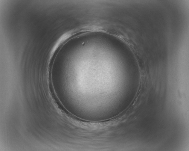 X0000079290006200611251659