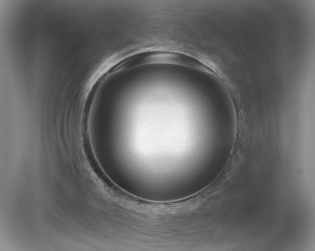 X0000079290007200611251659