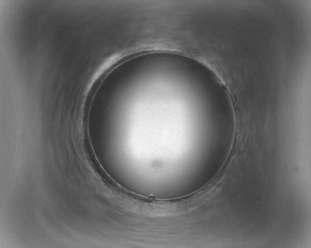 X0000079290008200611251659