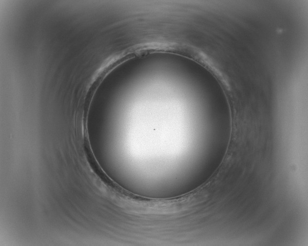 X0000079290011200611251659