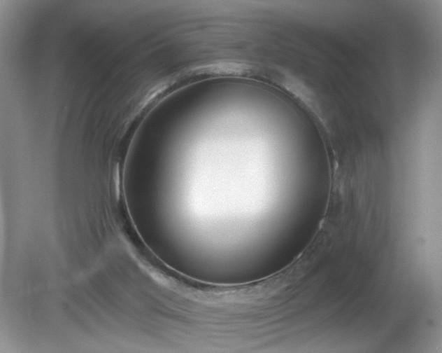 X0000079290013200611251659
