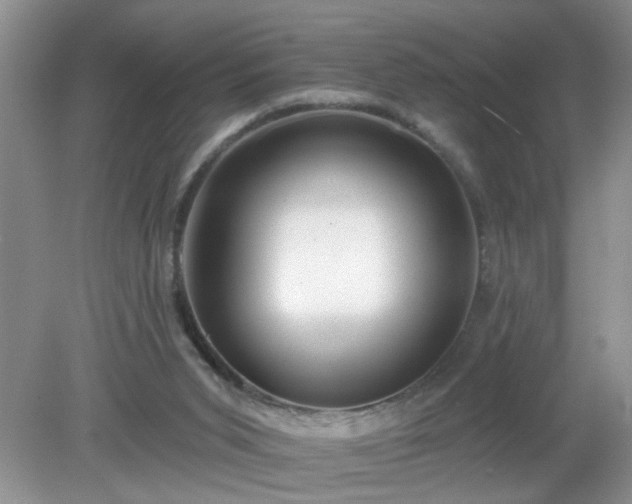 X0000079290015200611251659