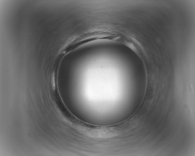 X0000079290020200611251659