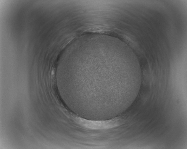 X0000079290034200611251659