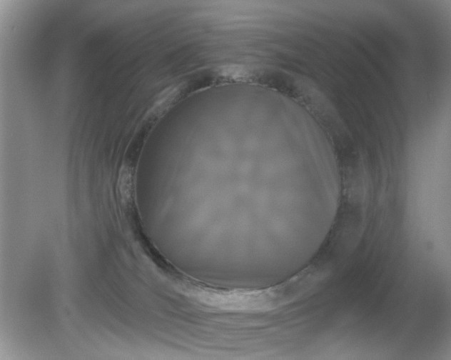 X0000079290036200611251658