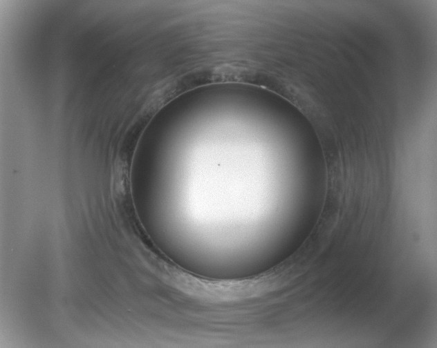 X0000079290038200611251658