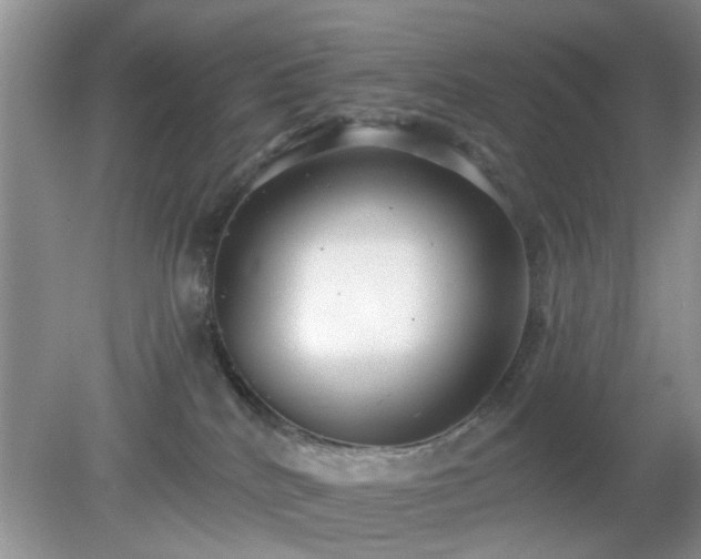 X0000079290040200611251658