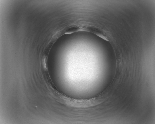 X0000079290042200611251658