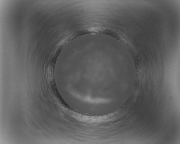 X0000079290043200611251658