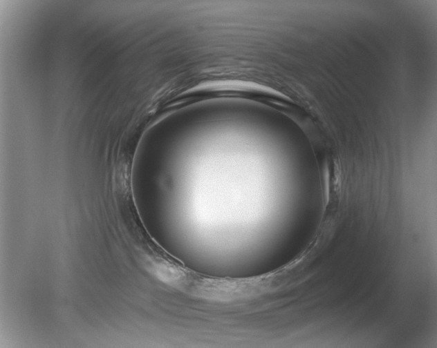 X0000079290045200611251658