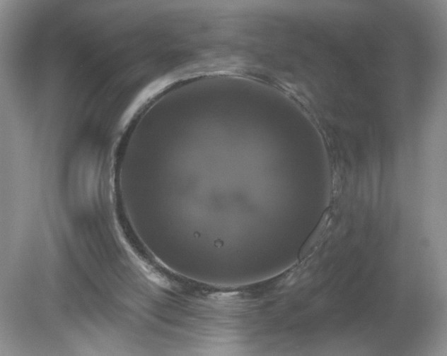 X0000079290054200611251658