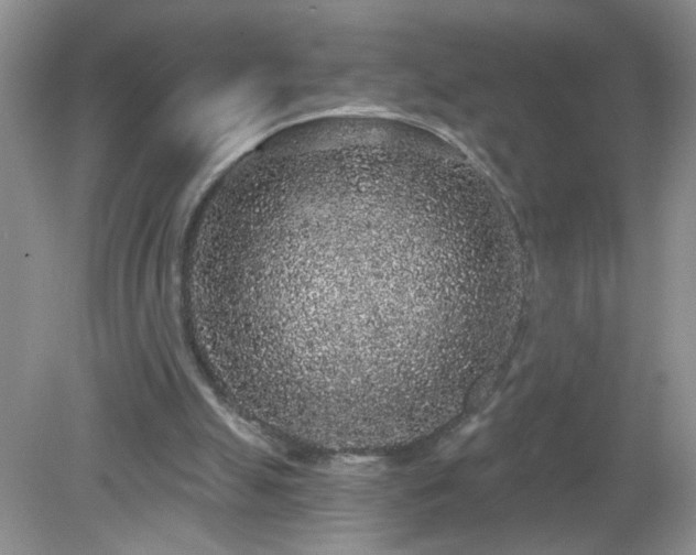 X0000079290055200611251658