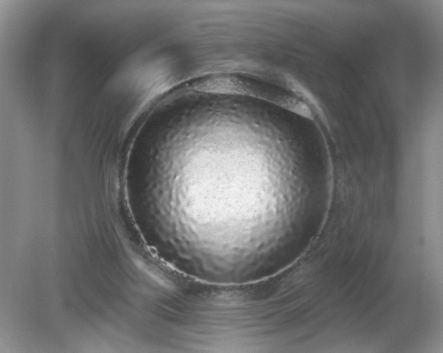 X0000079290059200611251658